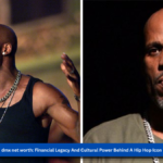 Dmx net worth