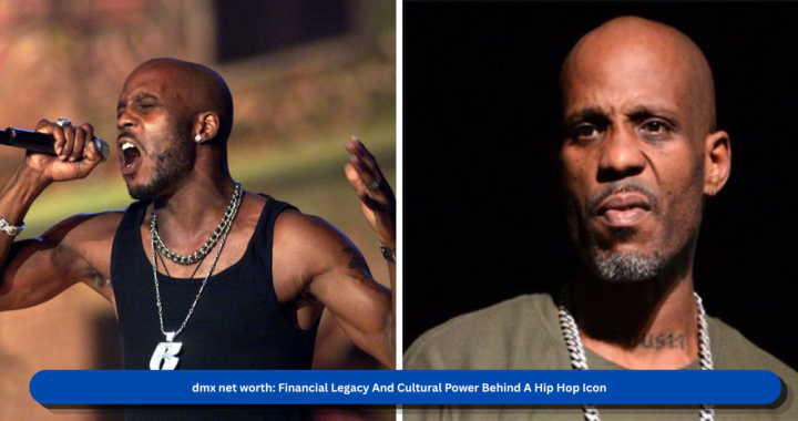Dmx net worth